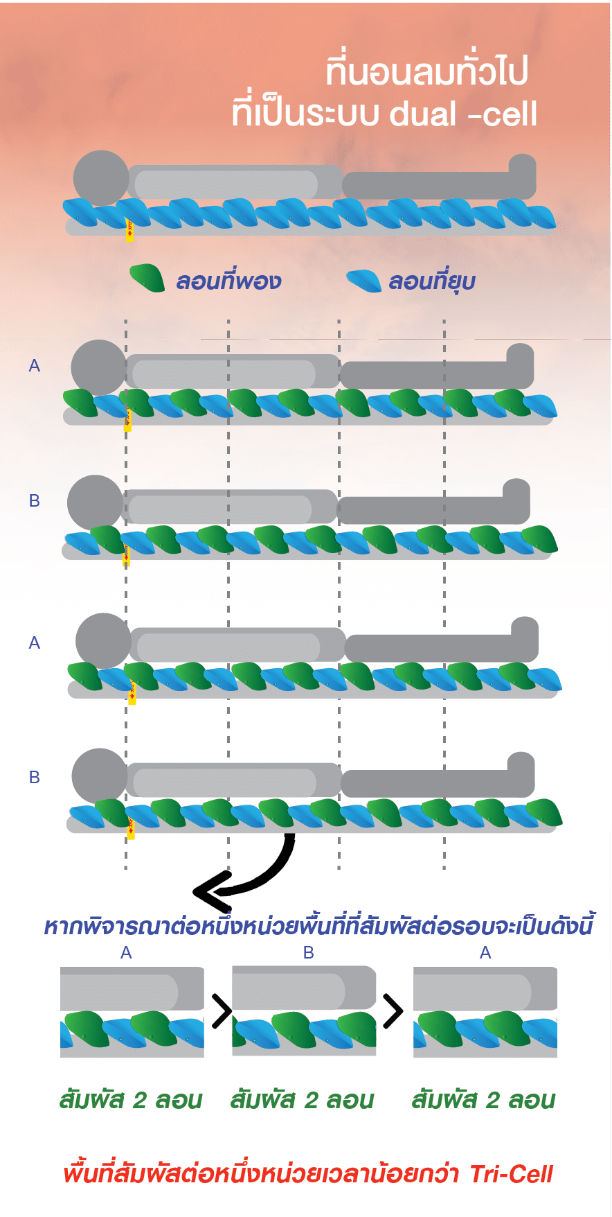 ที่นอนลมทั่วไปที่เป็นระบบ dual cell