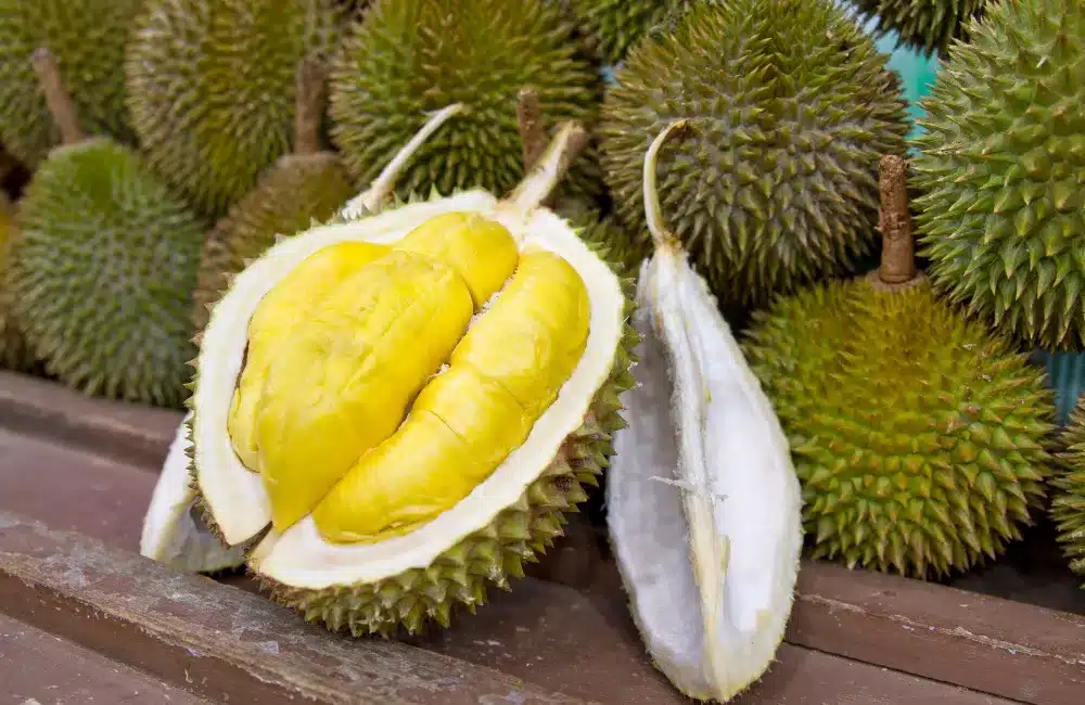 ทุเรียน